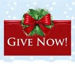 Holiday donate button